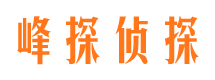 河东市侦探调查公司